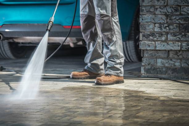 Best Roof Washing  in Dianapolis, IN